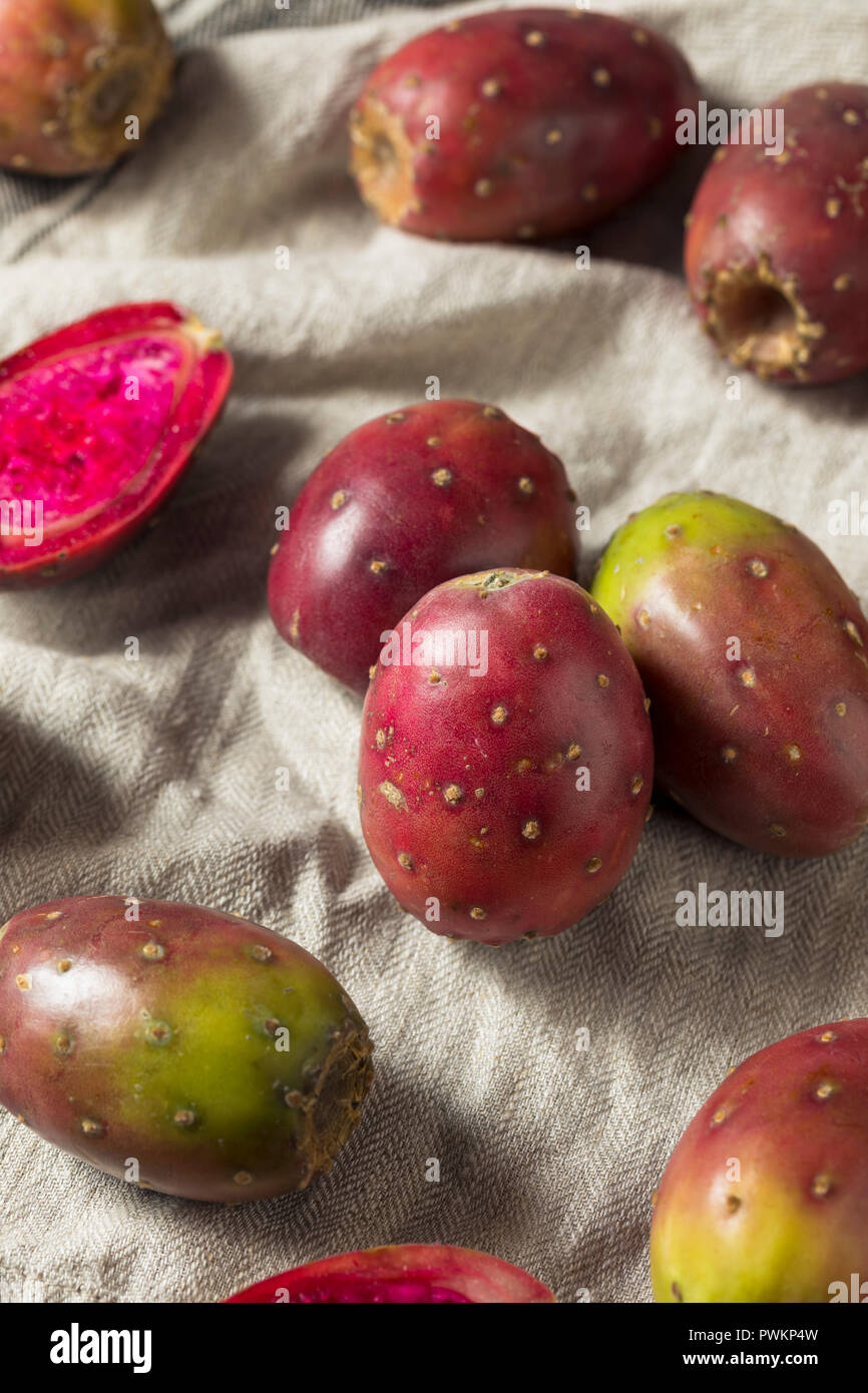 Bio Feigenkakteen bereit zu Essen Stockfoto