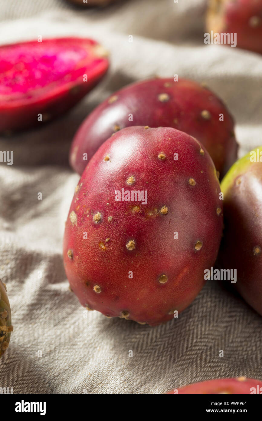 Bio Feigenkakteen bereit zu Essen Stockfoto