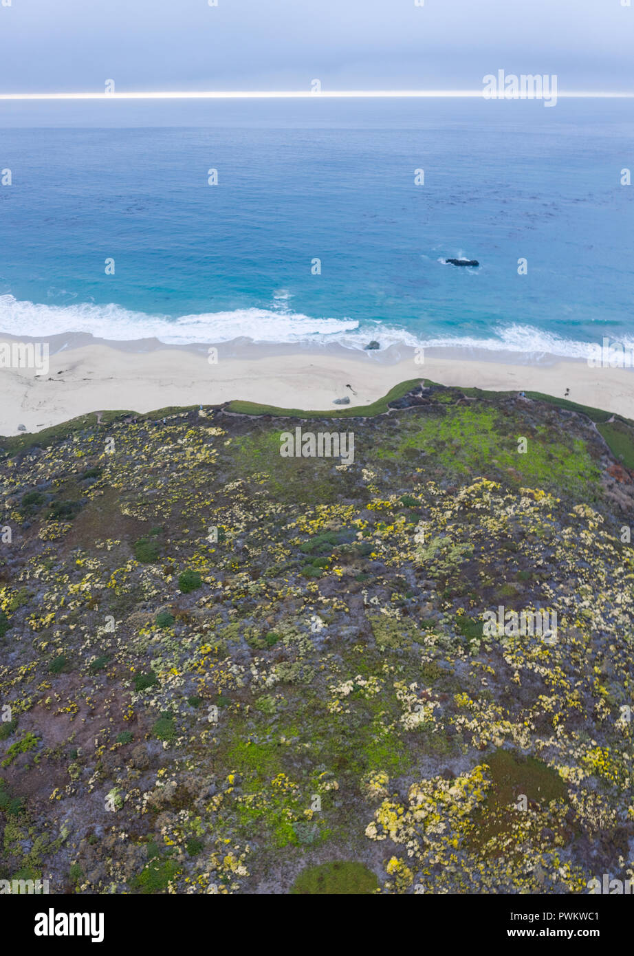 Die kalte, nährstoffreichen Gewässern des Nördlichen Pazifik Waschen gegen einen malerischen Strand in Nordkalifornien, nicht weit von Monterey. Stockfoto