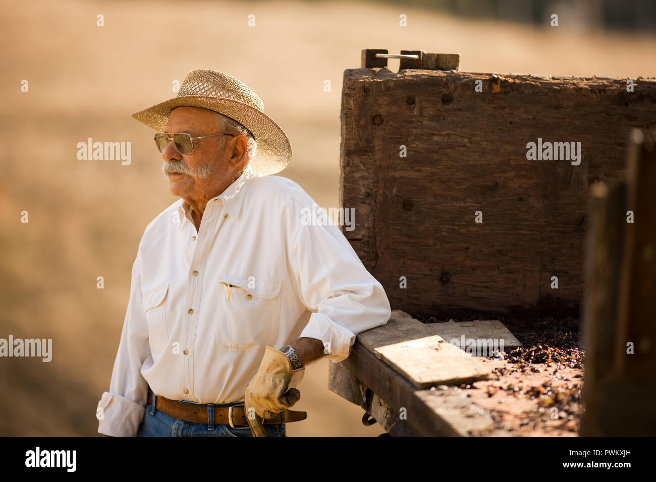 Portrait von Landwirt schiefen am Fahrzeug. Stockfoto