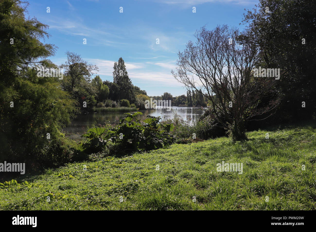 Blick auf den langen Wasser in Kensington Gardens, London, UK an einem sonnigen Herbsttag mit hellen, grünen Gras, Bäume, blauer Himmel und weiße Wolken, scheint der ländlichen Stockfoto