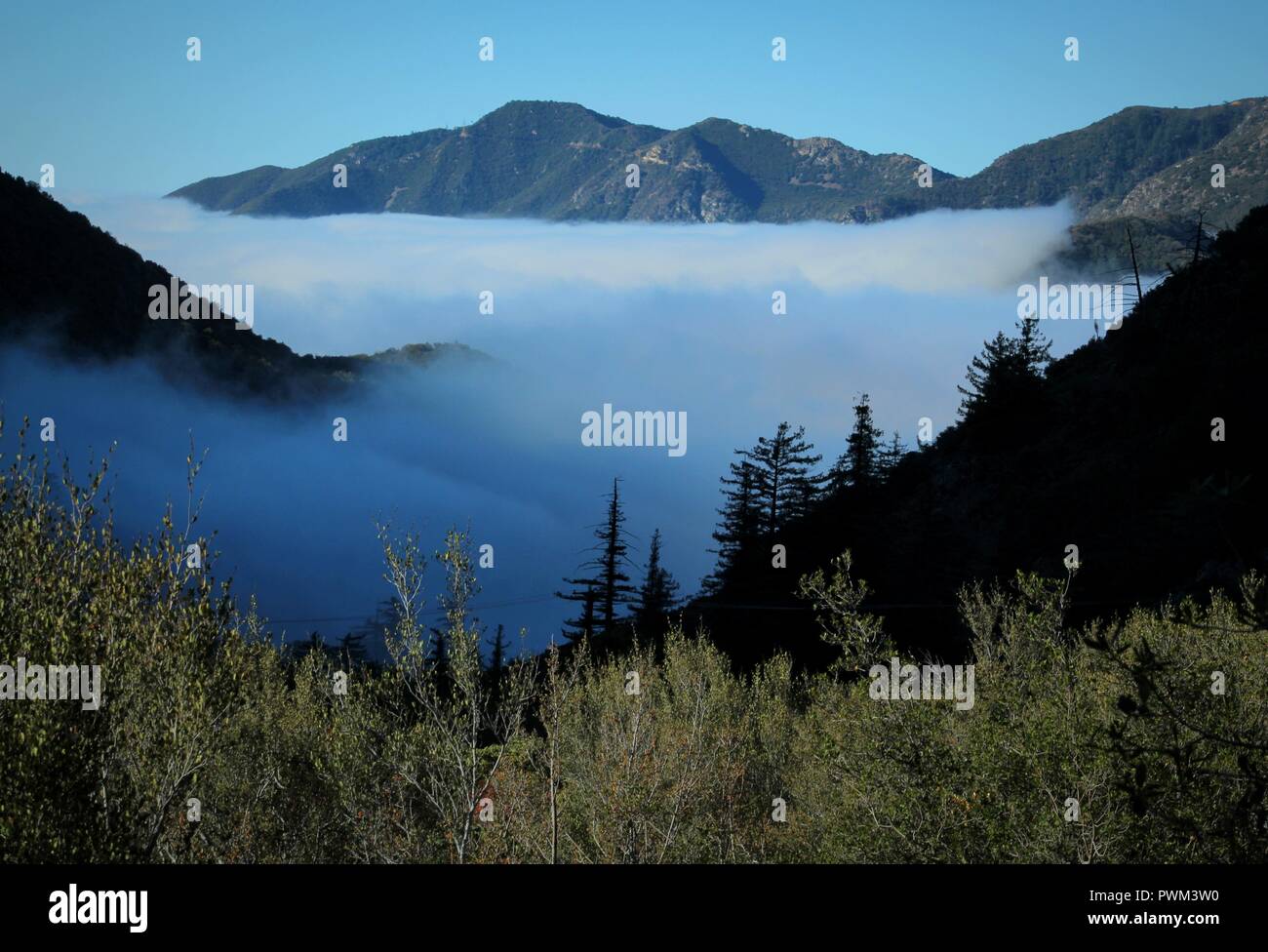 Cloud Inversion am Mount Baldy, San Gabriel Mountains, Kalifornien Stockfoto