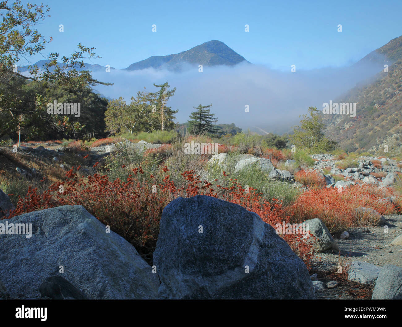 Cloud Inversion am Mount Baldy, San Gabriel Mountains, Kalifornien Stockfoto