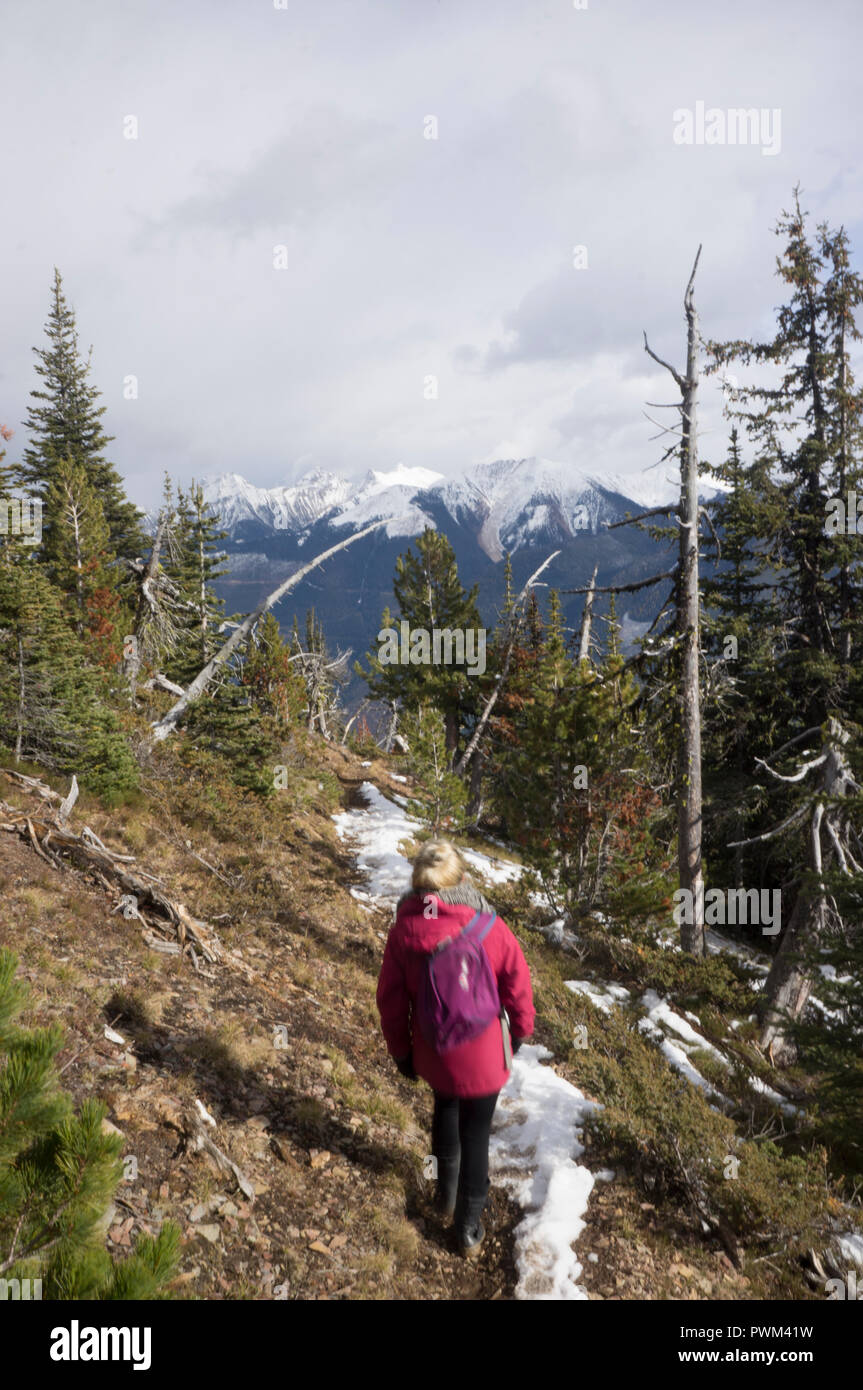 Wandern Lakit Berg, Kootenays, British Columbia, BC, Kanada Stockfoto