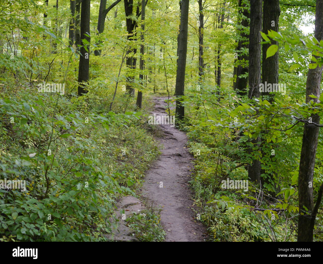 Sommer Wandern Stockfoto