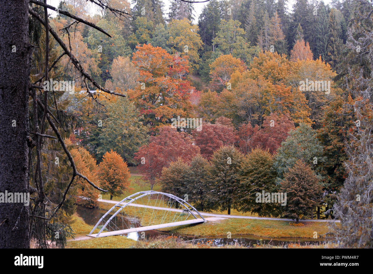 Herbst Landschaft, bunte Bäume und gelben Gras, im Vordergrund ein Kiefer trunk, ein schmaler Fluss und eine kleine Brücke, Foto oben, Stockfoto