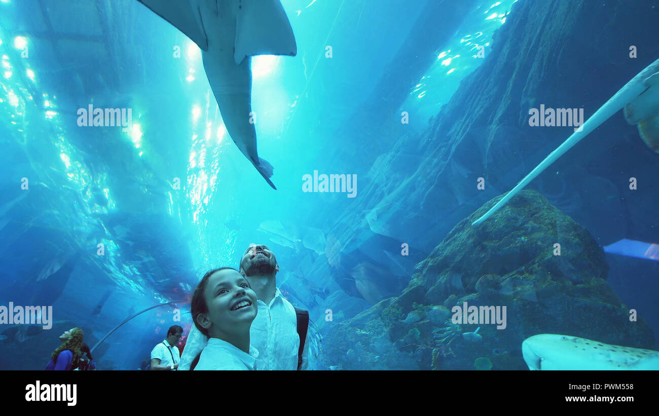Junges Mädchen mit Vati amüsant beobachten die Fische im Aquarium Stockfoto