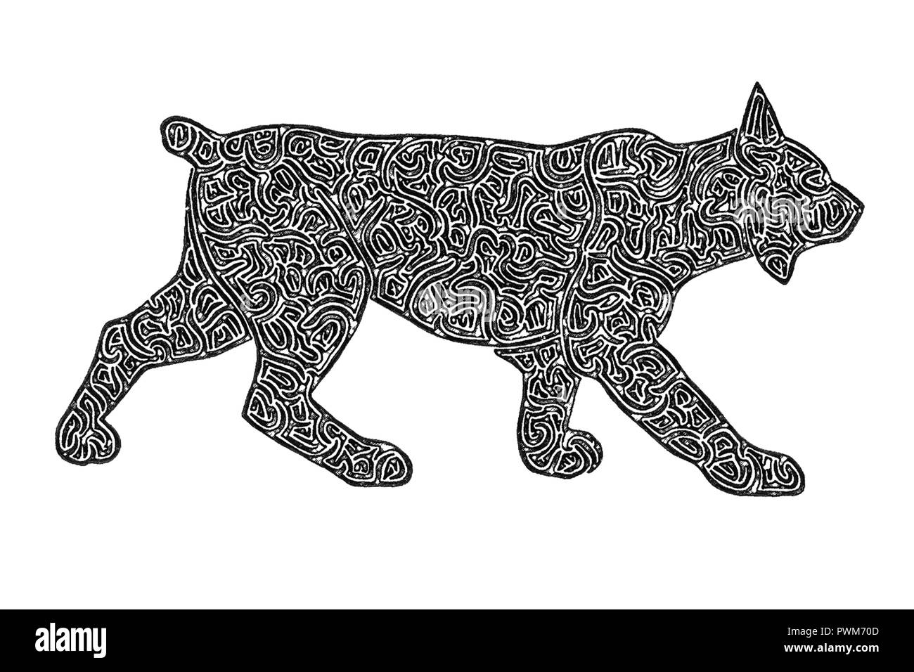 Abbildung Ein Bobcat Oder Ein Luchs Schwarz Weiss Zeichnung Labyrinth Linien Stockfotografie Alamy
