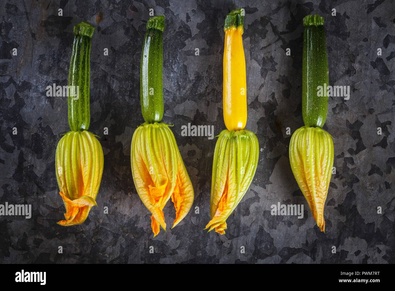 Eine Reihe von zucchiniblüten (von oben gesehen) Stockfoto