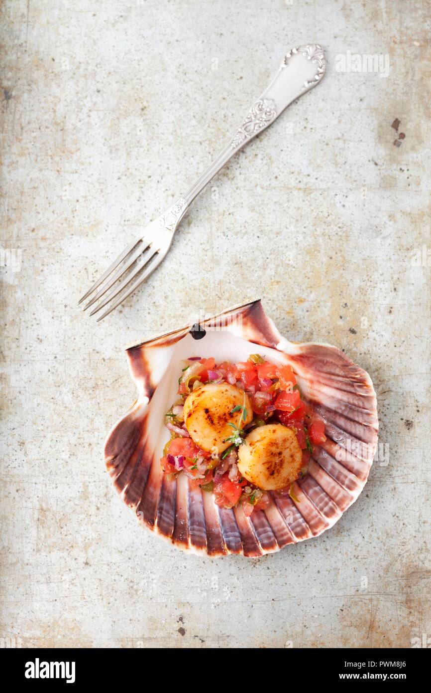 Pfanne gebratene jakobsmuschel vorspeise -Fotos und -Bildmaterial in ... Pfanne gebratene jakobsmuschel vorspeise -Fotos und -Bildmaterial in ...