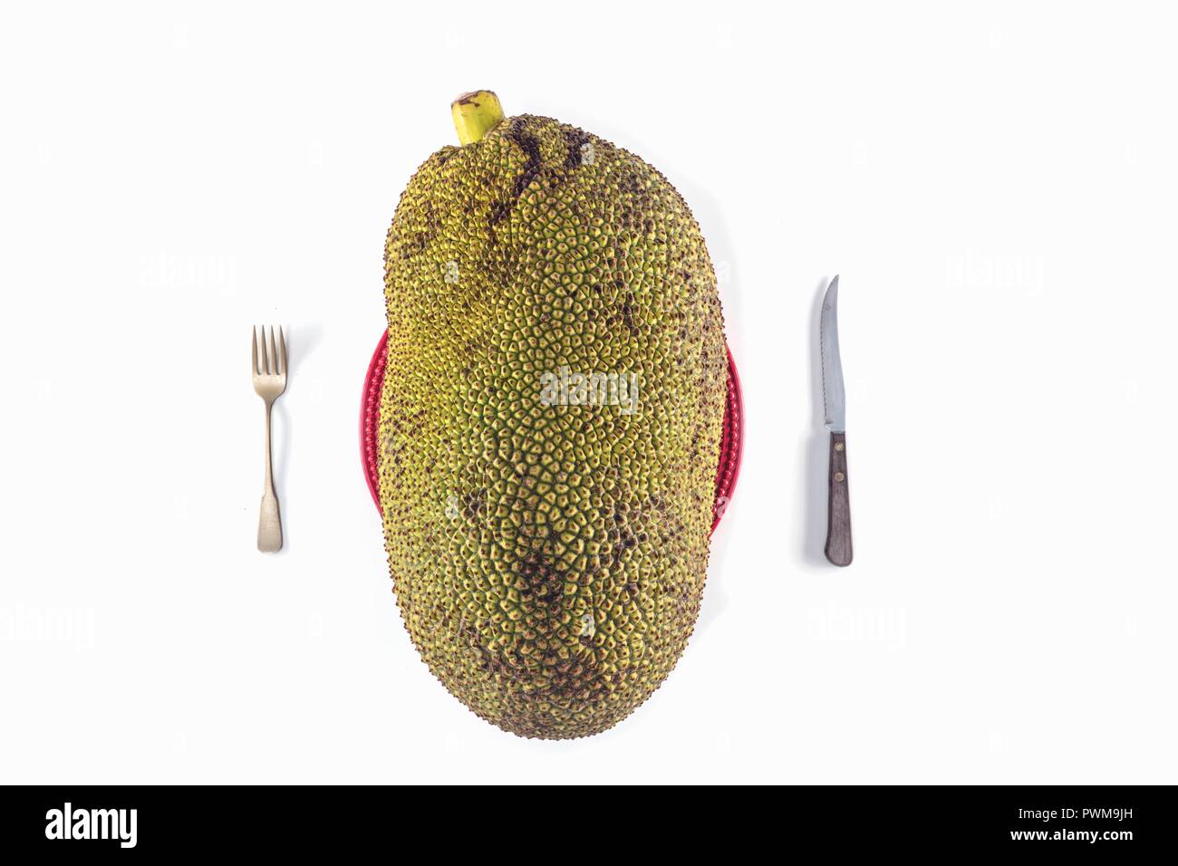 Eine große Jack Obst auf einem Teller mit Besteck vor einem weißen Hintergrund (Ansicht von oben) Stockfoto