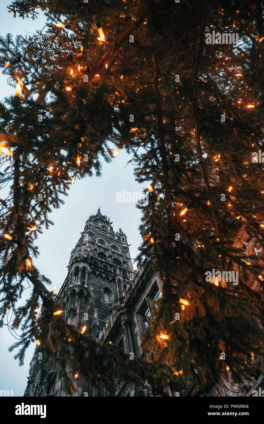 Blick auf das Rathaus Neues Rathaus durch Christbaum mit Lichtern auf dem Marienplatz in München, Bayern, Deutschland Stockfoto