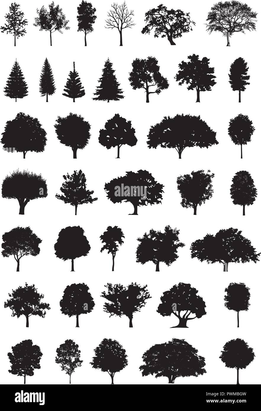 Baum Silhouette Vector Illustration Stock-Vektorgrafik - Alamy