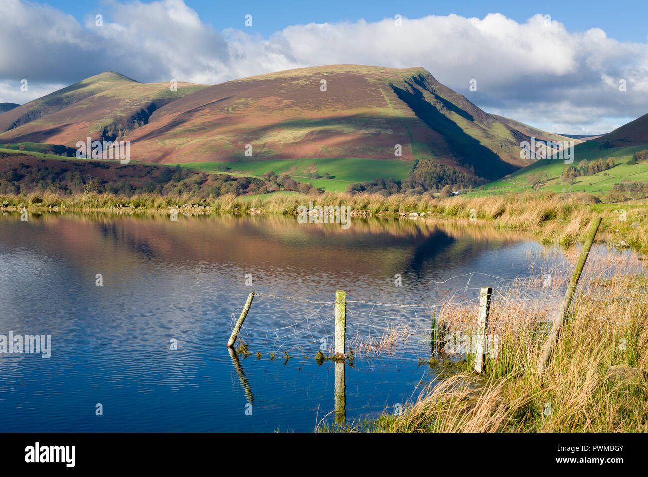 Tewet Tarn und Lonscale fiel darüber hinaus im englischen Lake District National Park, Cumbria, England. Stockfoto