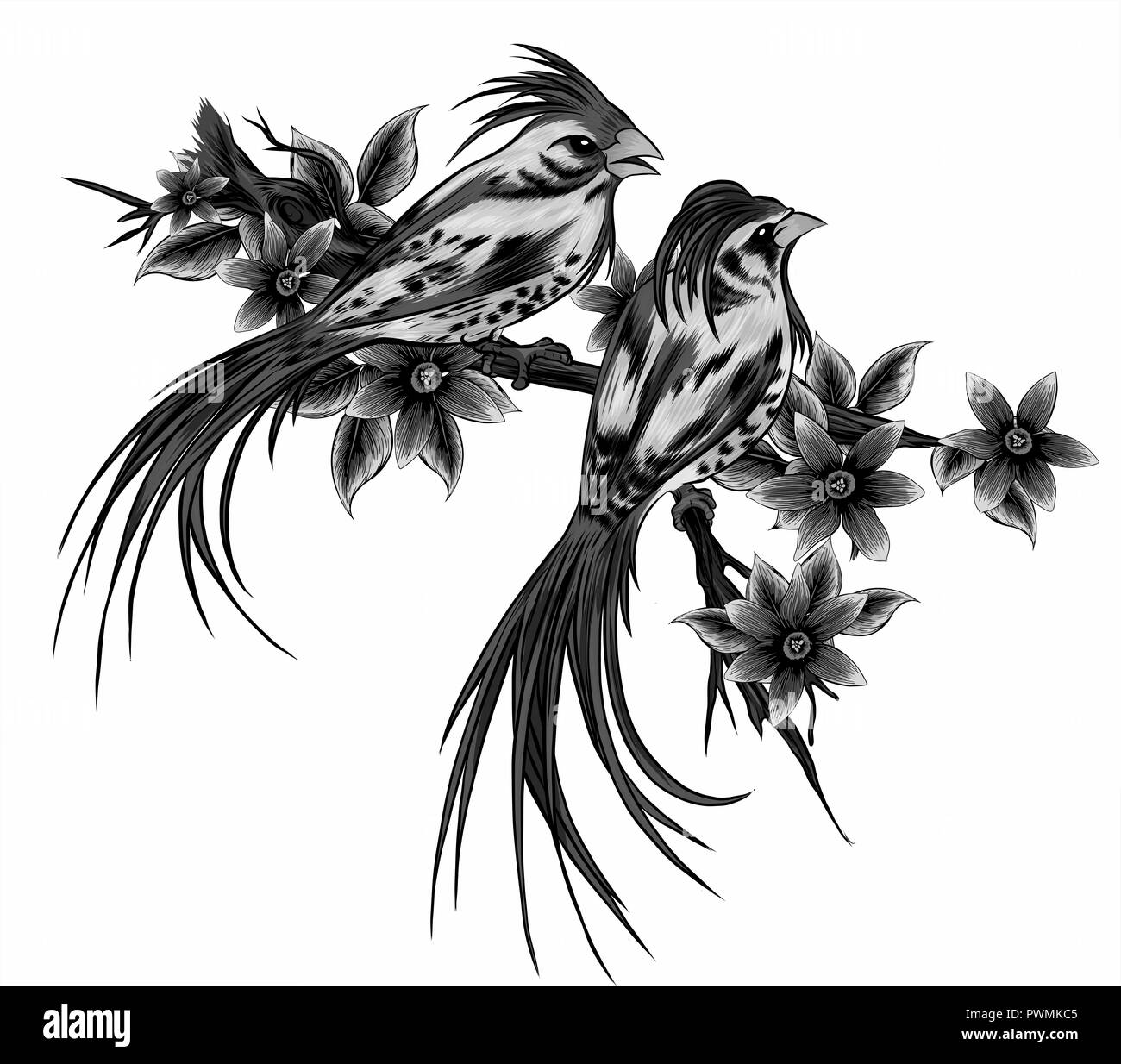 Abbildung Paar Vögel in den drei und Blumen Stockfoto