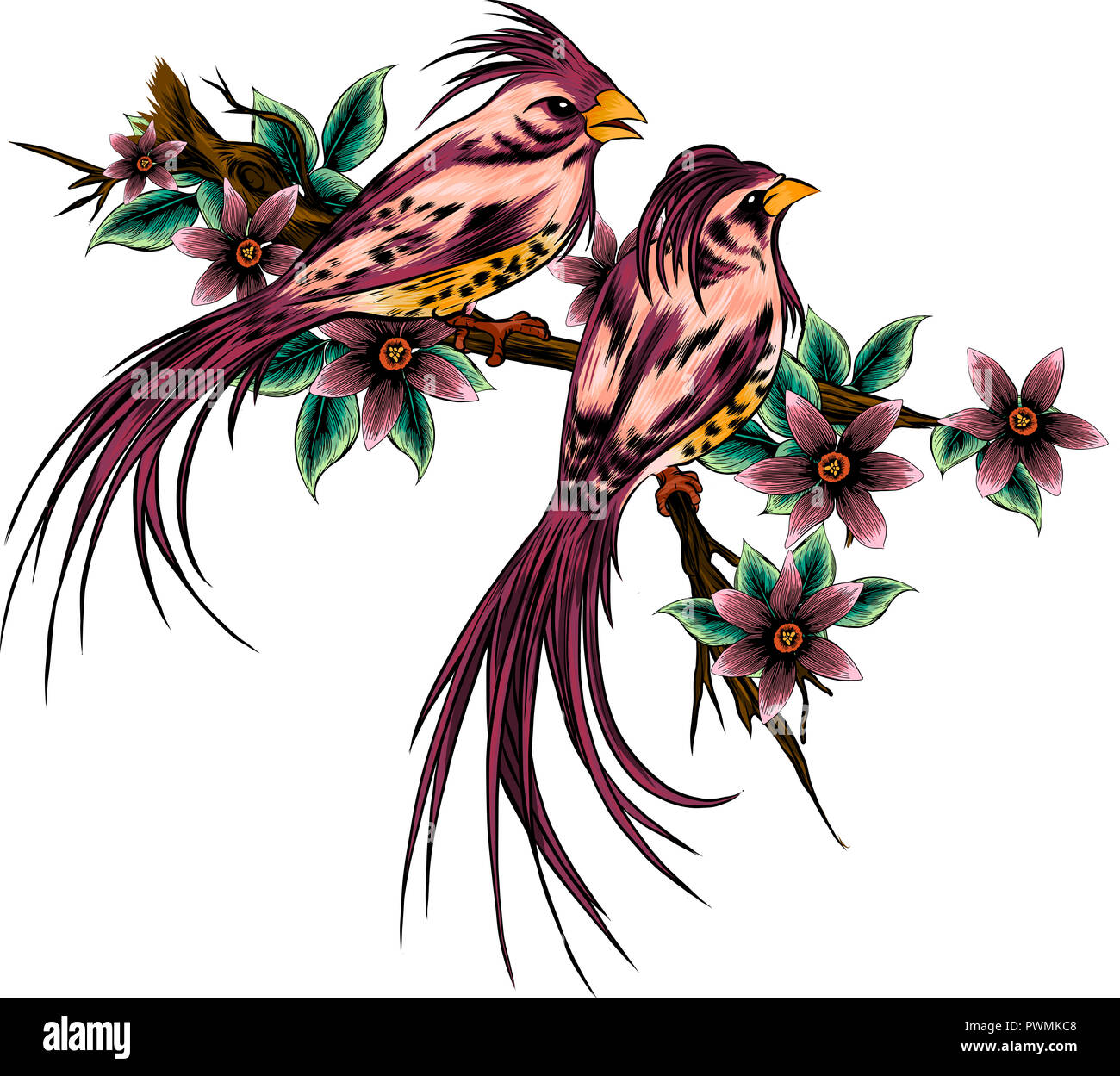 Abbildung Paar Vögel in den drei und Blumen Stockfoto