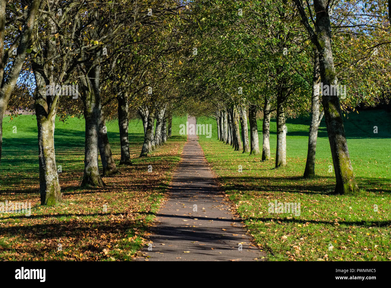 Eglinton Park Irvine North Ayrshire. Öffentlicher Park im Herbst. Stockfoto