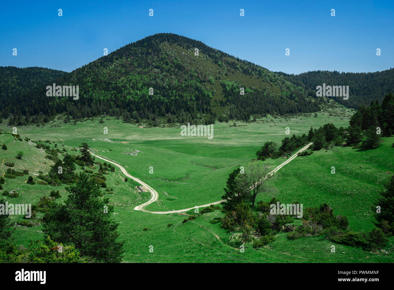 Frankreich, Aude, Pays de Sault, Pla du Boum, auf den Höhen von Comus Stockfoto
