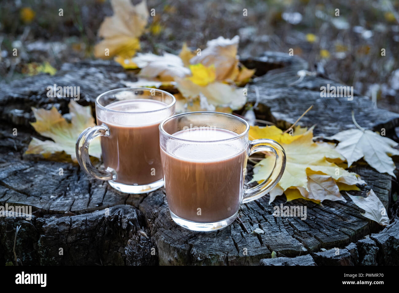 Tassen Kakao auf die natürlichen Holz Hintergrund mit Blätter im Herbst. Milch Kaffee im Glas Tassen auf schöne strukturierte Holzoberfläche im Freien Stockfoto