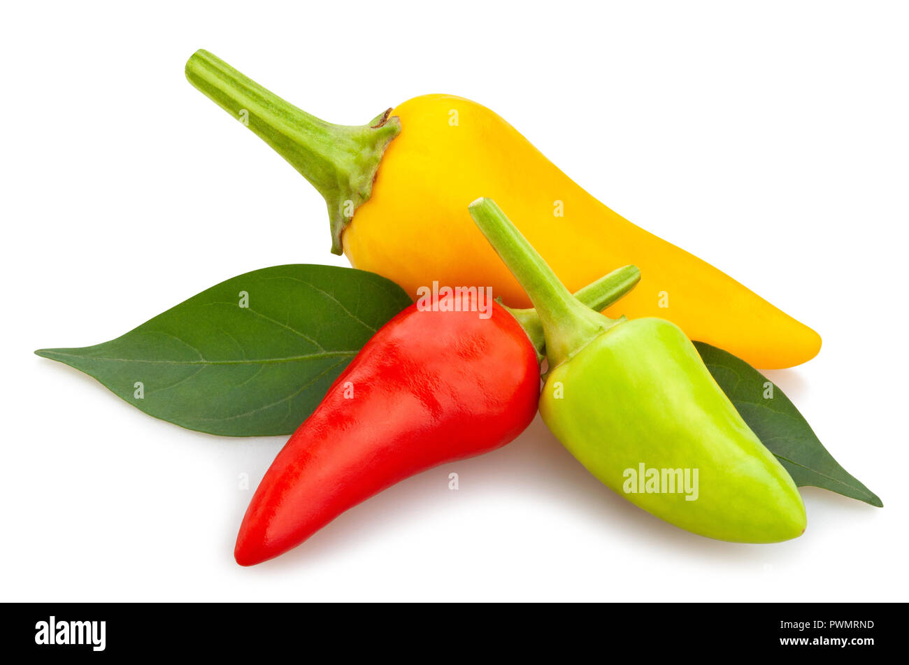 Bunte chili Pfad isoliert Stockfoto