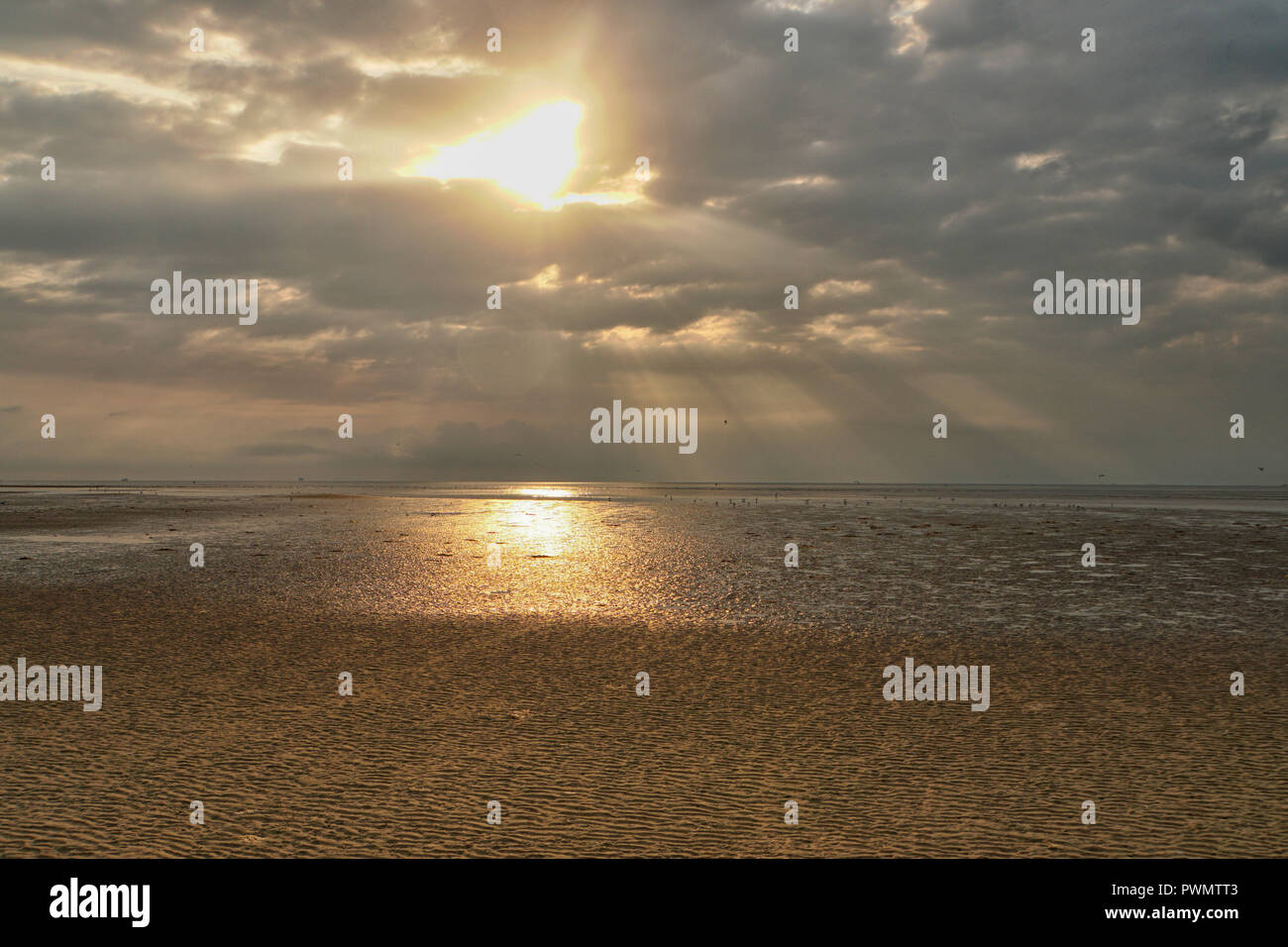 Golden sunrise auf Galveston Beach mit dem Sun Streaming durch die Wolken Stockfoto