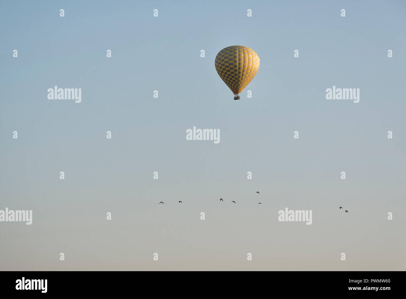 Heißluftballon und einen Schwarm Vögel Stockfoto