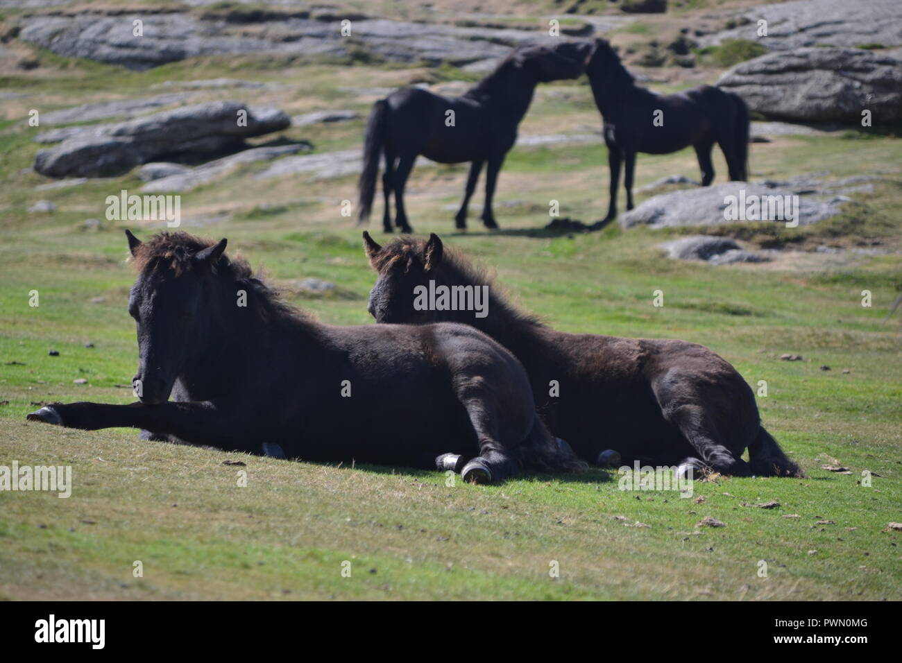 Friends Forever Stockfoto