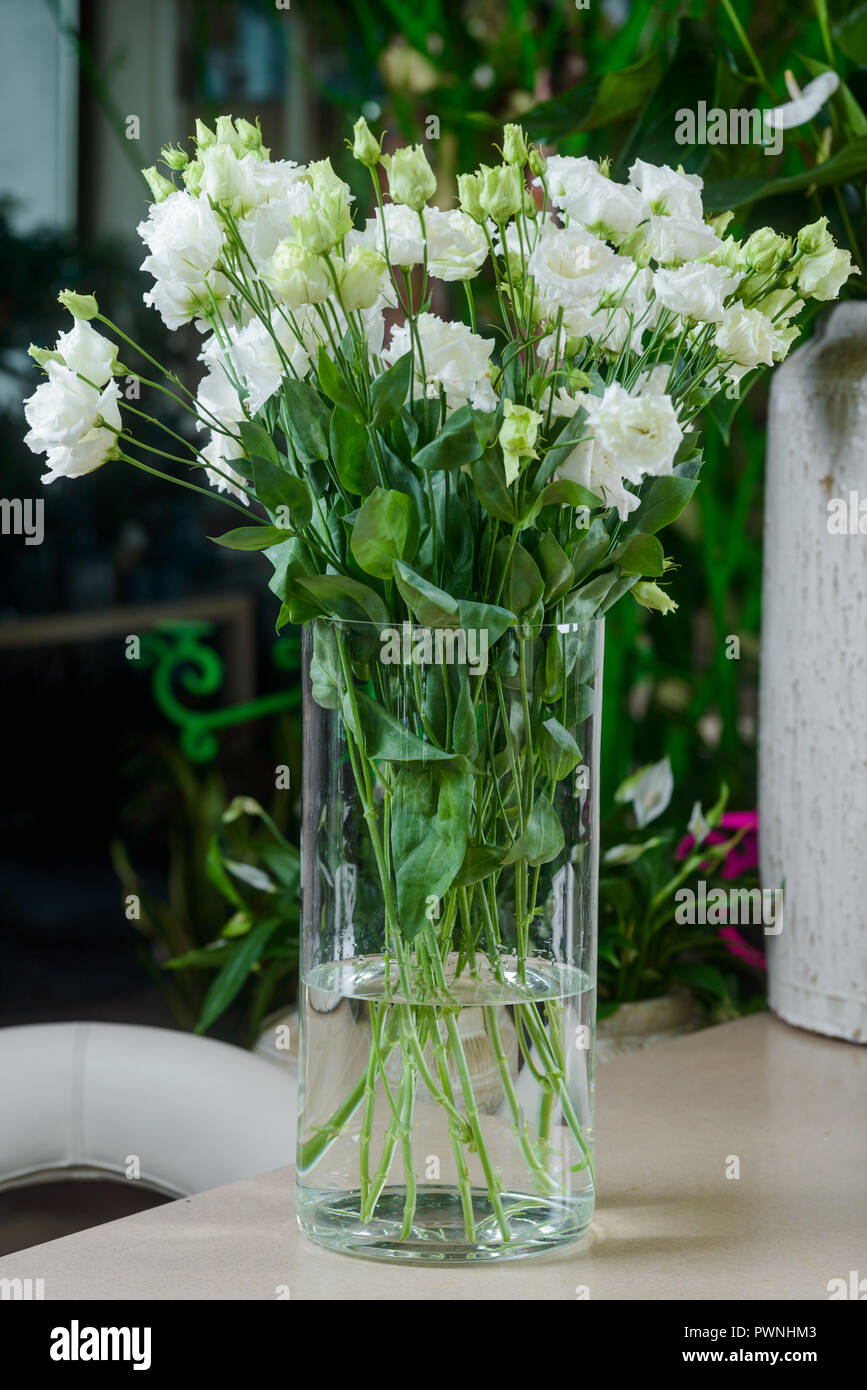 Weiße lisianthus Blumen in Vase Stockfoto