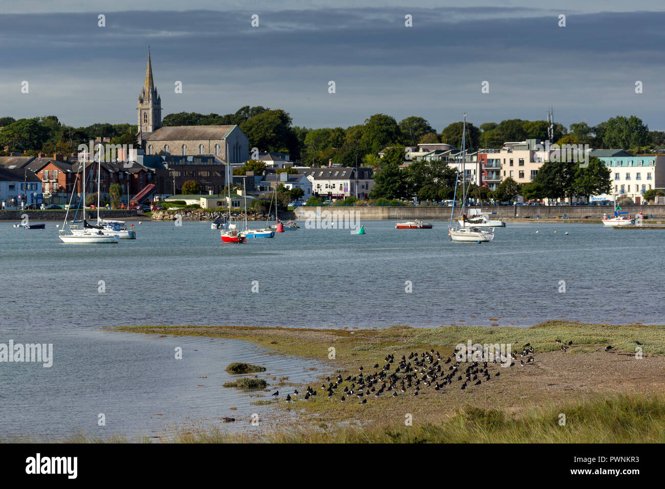 Malahide Mündung Dublin mit Oyster Catcher auf dem Sand. Stockfoto