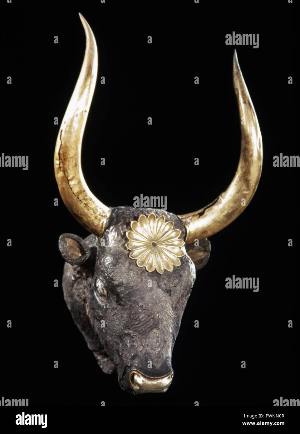 Königsgräber von Mykene. 16. Jahrhundert v. Chr.. Silber rhyton in der Form eines Rinder- Kopf, gold Hörner und Rosette. Tomb IV. Grab Kreis A. Nationalen Archäologischen Museum. Athen, Griechenland. Stockfoto