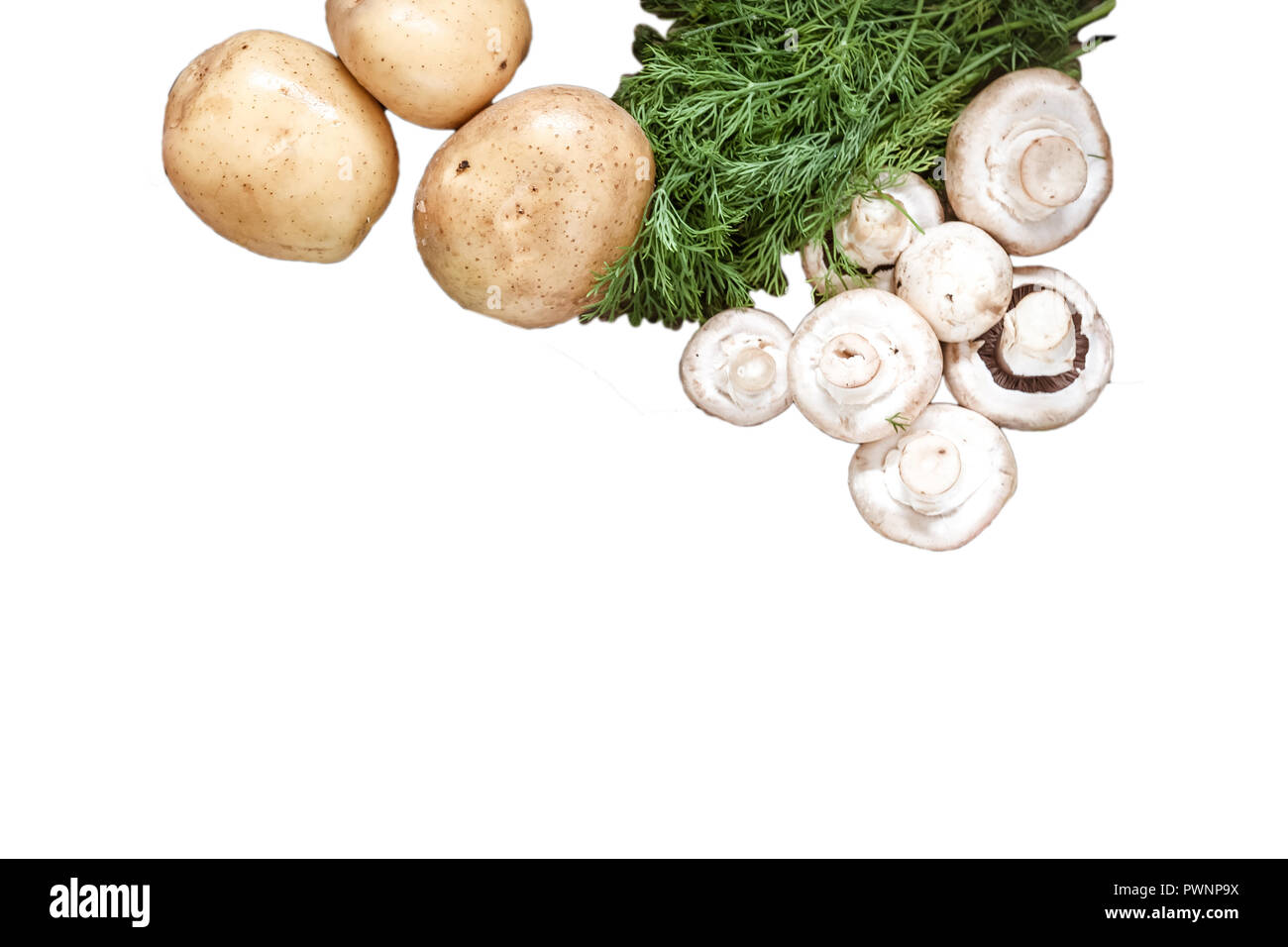 Frische Kartoffeln, champignon Pilze, ein Bündel Dill auf weißem Hintergrund. Ansicht von oben, statt zu kopieren, flach. Stockfoto