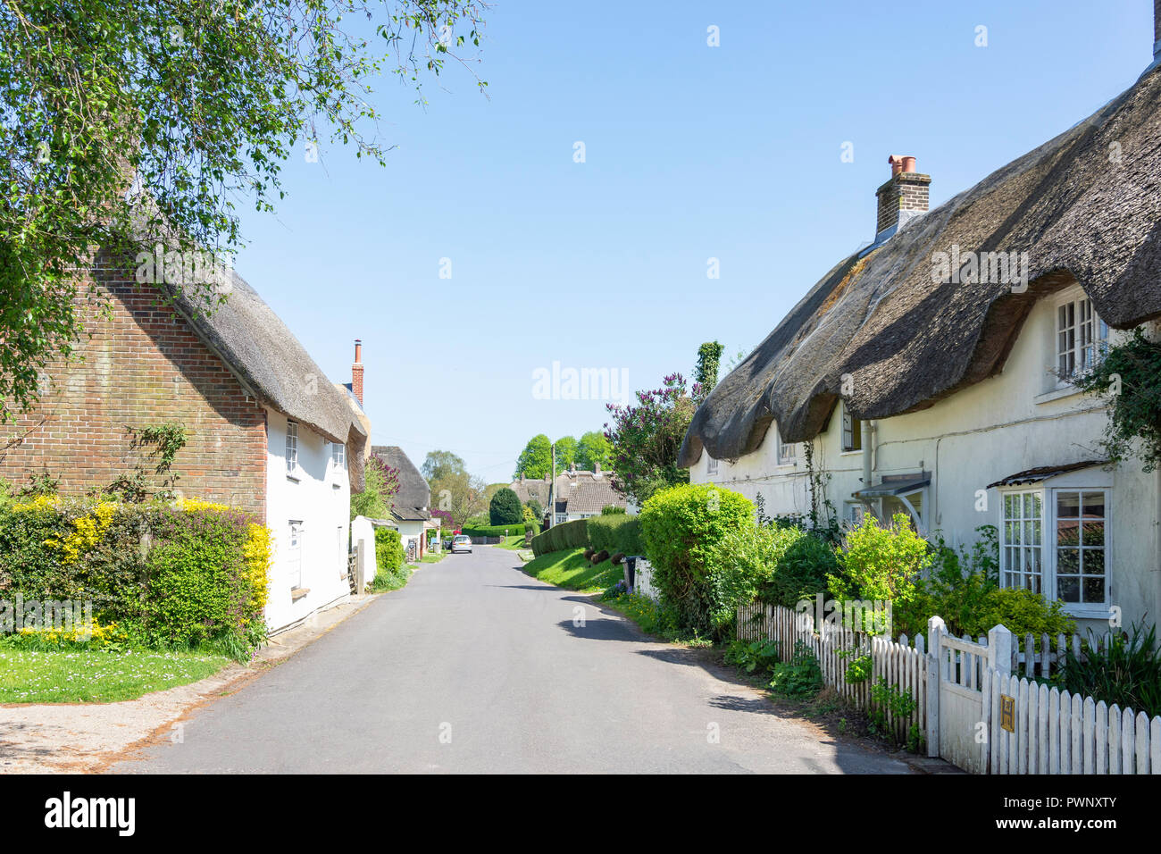 Reetgedeckte Cottages, Throop, Briantspuddle, Dorset, England, Vereinigtes Königreich Stockfoto