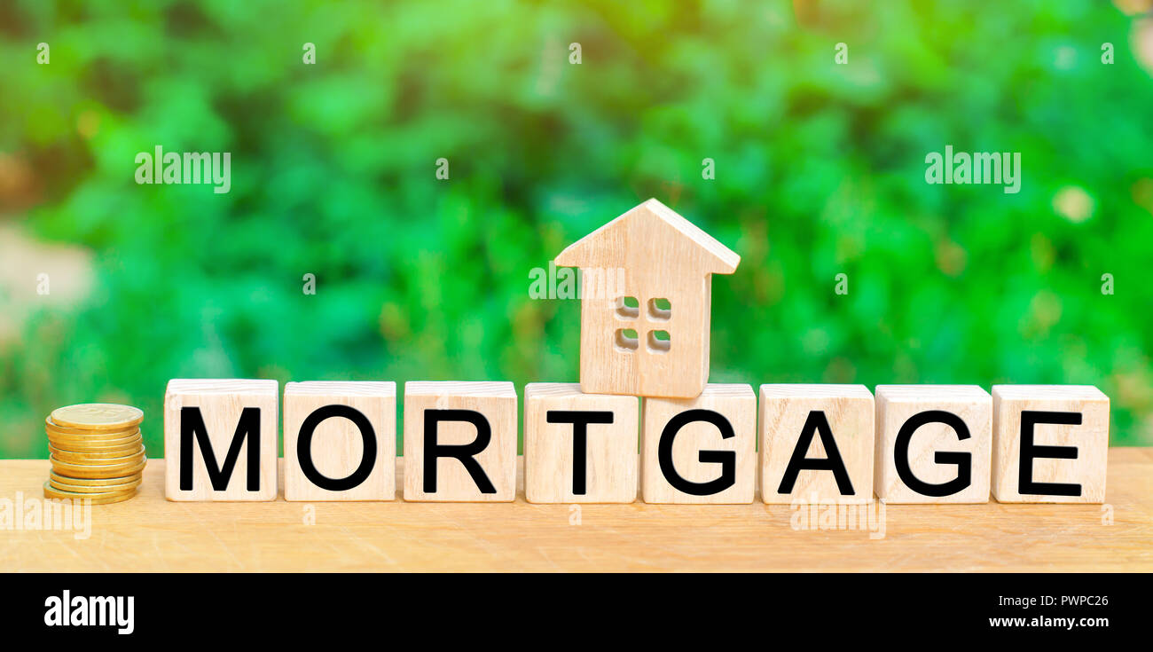 Miniatur Haus Und Dollar Holzklotze Und Die Inschrift Durch
