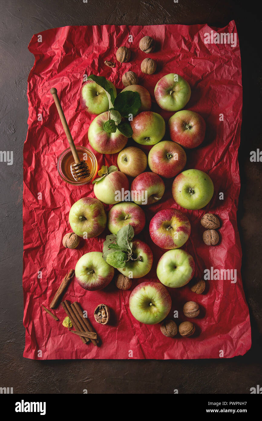 Reif Organic Gardening grün rote Äpfel mit Blätter, Nüsse, Zimt und Glas Honig auf Rot hell zerknittertes Papier über dunkle Textur Hintergrund. Flat l Stockfoto