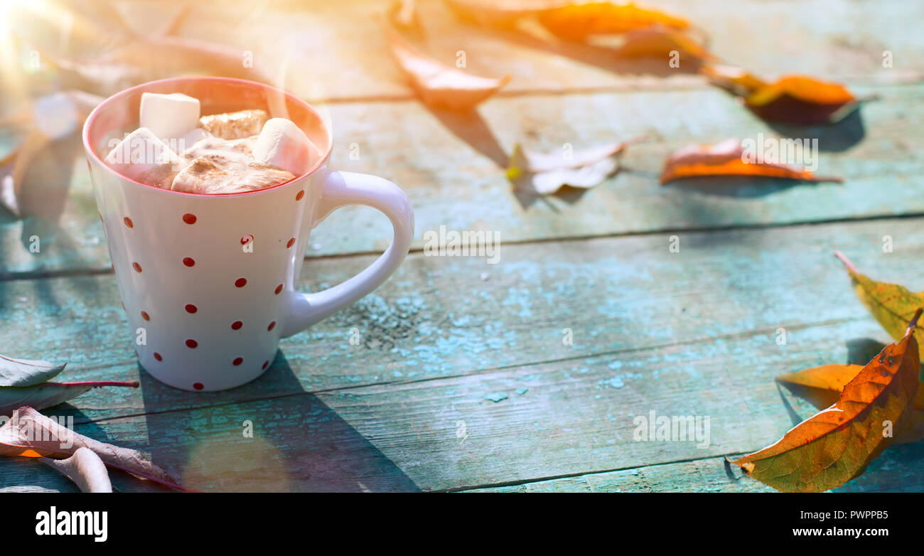 Herbst essen Hintergrund; Tasse Kakao mit Marshmallow und Herbstlaub an sonnigen Hintergrund Stockfoto