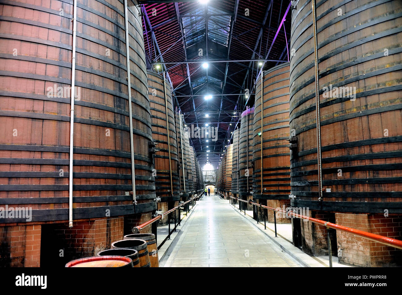 In den Kellern der Byrrh Firma in Thuir, der seine berühmten Aperitif macht mit Wein und Gewürze Stockfoto