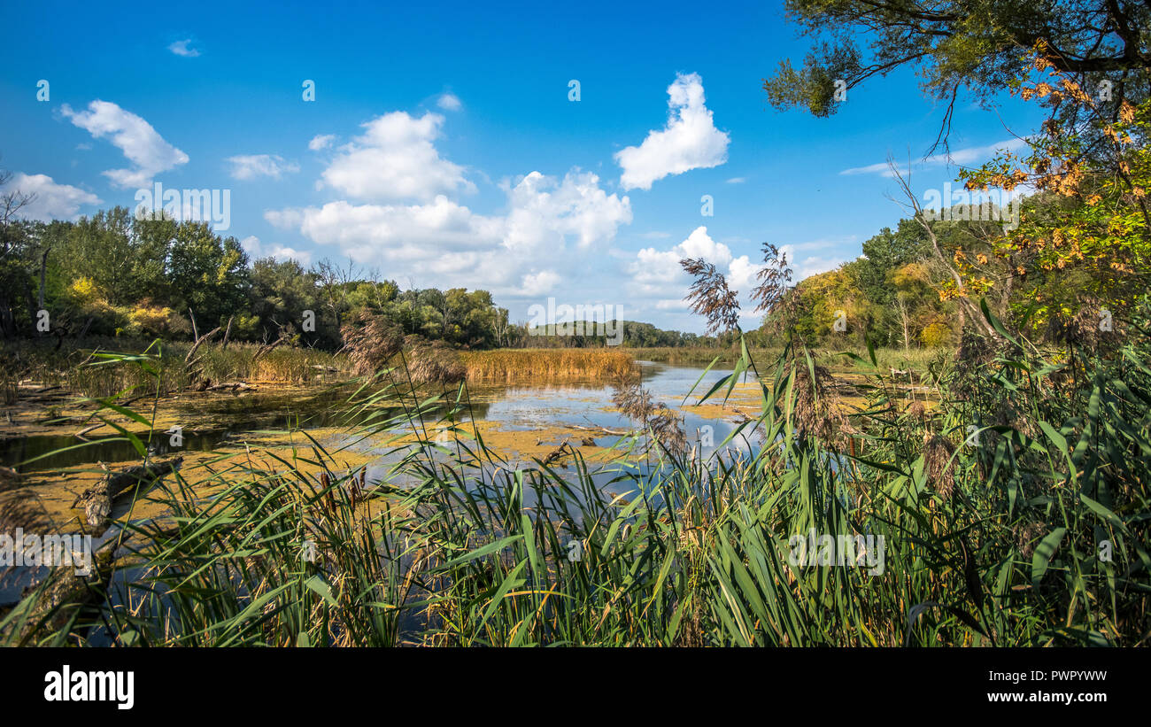 Blick auf die Donau Auen, Slowakei. Das Landschaftsschutzgebiet Dunajské luhy ist ein wichtiger Wasservögel Biotop. Stockfoto