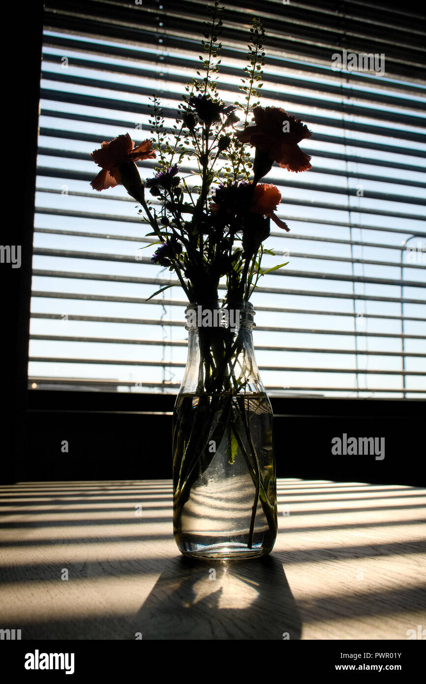 Sanft Schwerpunkt der Blumen im Glas Flasche voll Wasser auf hölzernen leere Tabelle mit horizontalen Schatten auf den Tisch und herrlichem Sonnenlicht in ein w Stockfoto