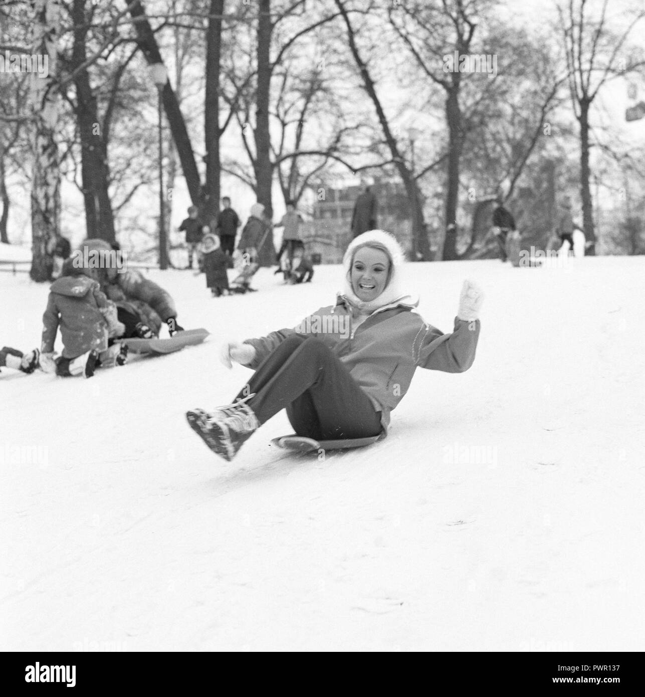 Winter in den 60er Jahren. Eine junge Frau ist Schiebetüren einen Hügel hinunter auf eine Untertasse förmig Kunststoff pulka. Sie ist im Sport Hose und ein Winter Jacke bekleidet. Schweden der 60er Jahre. Foto Kristoffersson ref EA 1-7 Stockfoto