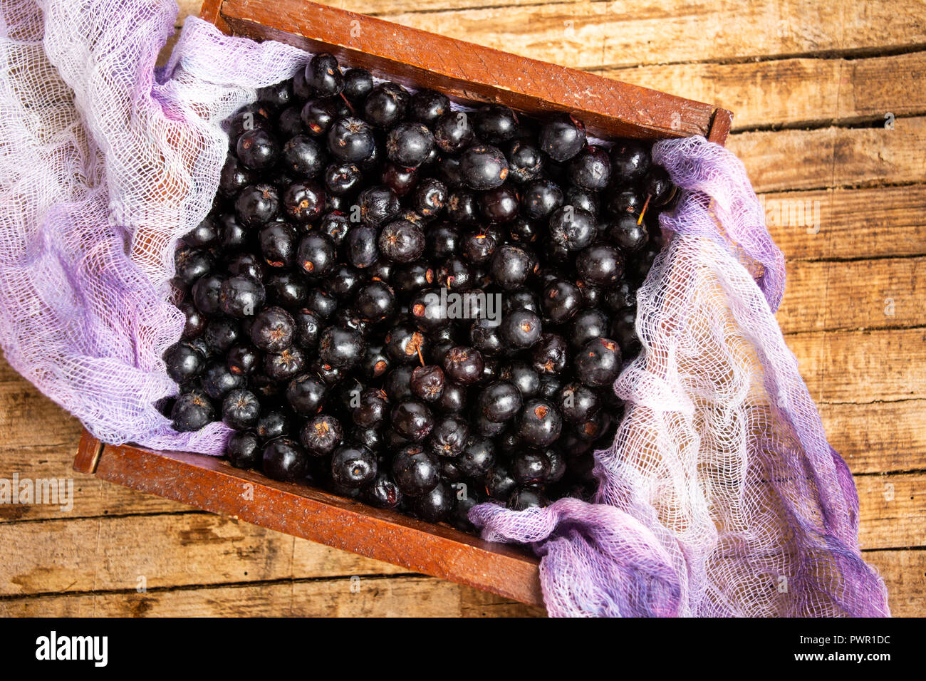 Aronia Beeren in eine Holzkiste, Ansicht von oben, gesundes Essen Stockfoto