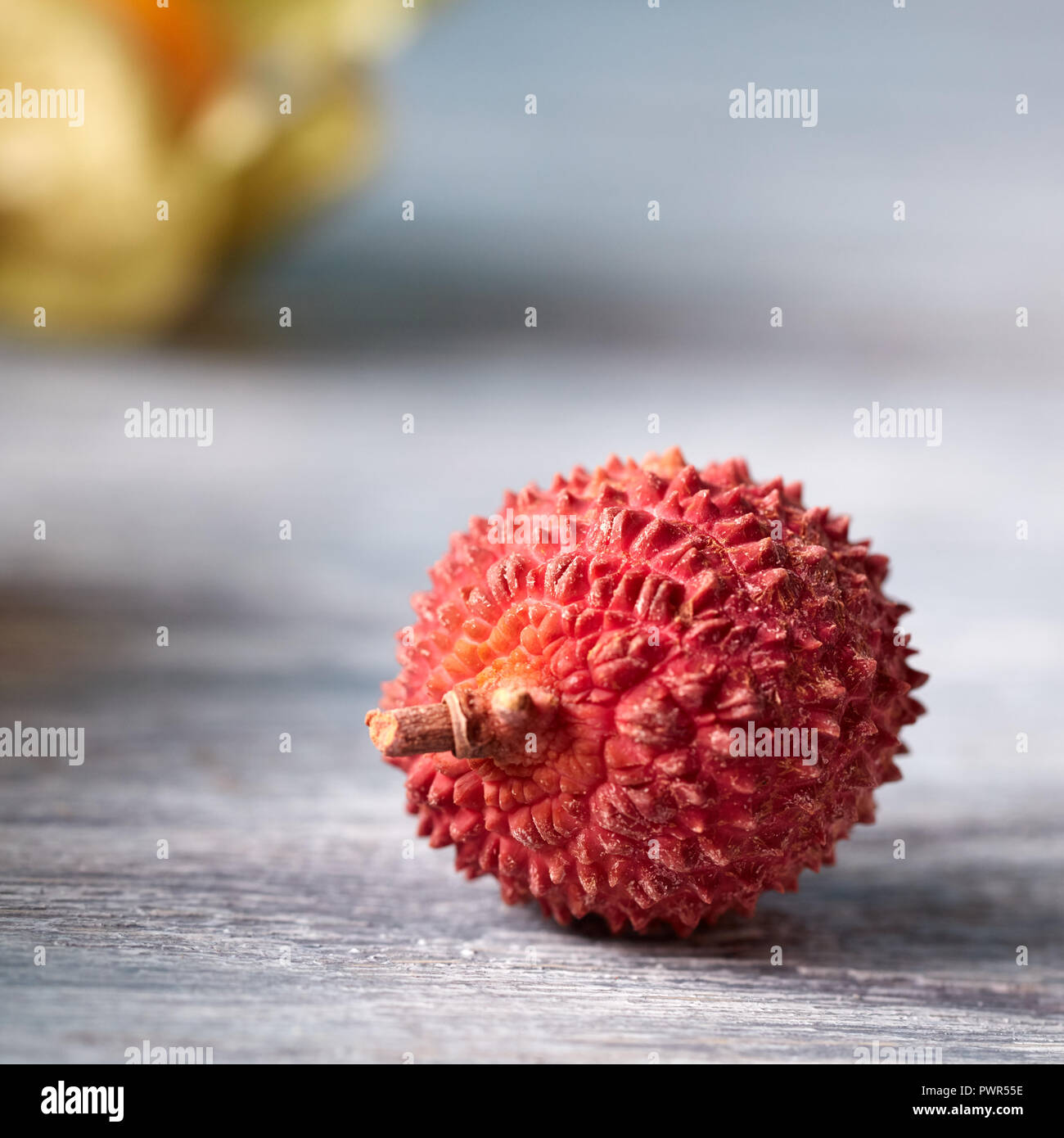 Eine frische rote reife Lychee, Litchi chinensis tropische Frucht auf grauem Hintergrund. Stockfoto