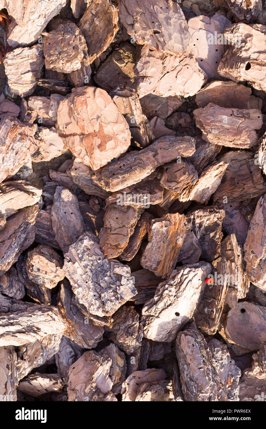 Bark Mulch Texture Stockfotos und bilder Kaufen Alamy