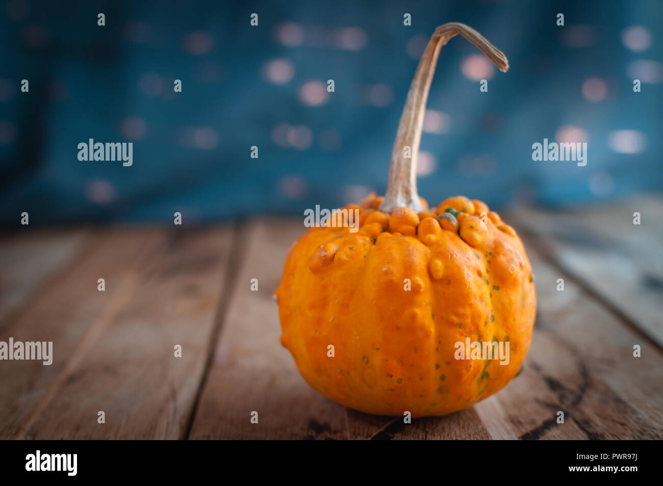 In der Nähe von Mini orange Kürbis auf hölzernen Hintergrund Kopie Raum Stockfoto