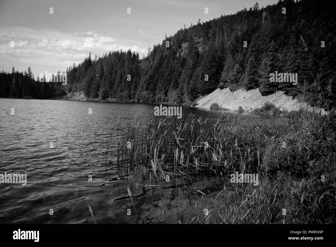 Wanderungen Stockfoto