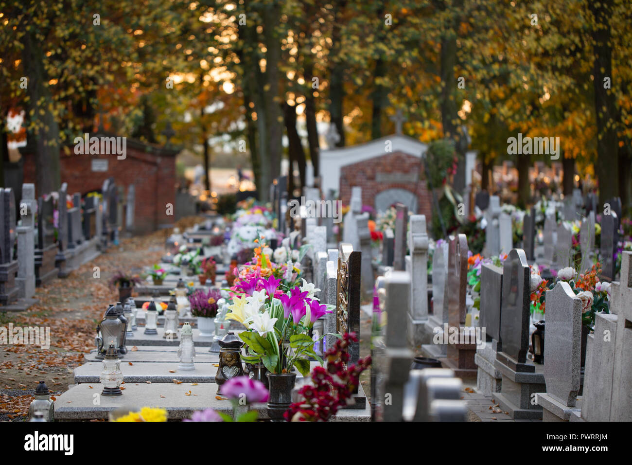 Blumen und Kerzen auf einem bunten polnischen Friedhof. Herbst, Vorbereitungen für Allerheiligen. Stockfoto