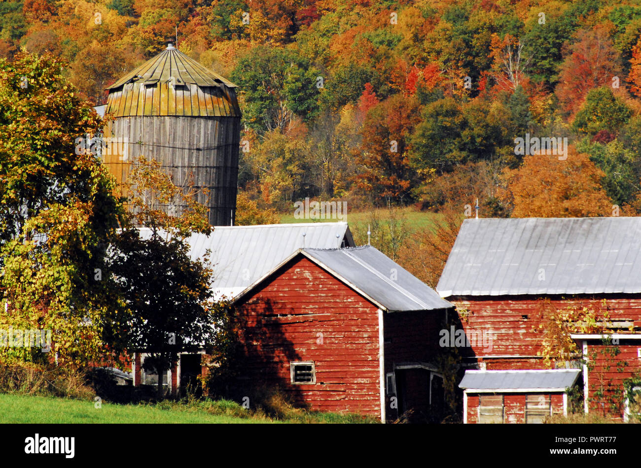 Schöne Herbstfarben umgeben einen ramshackled Bauernhof im Staat New York. Stockfoto