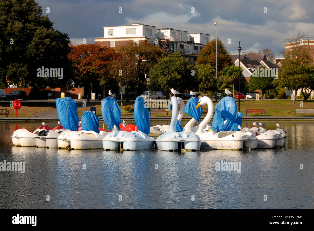 Tretboot in Form von Schwänen, Canoe Lake, Southsea, Porstmouth, Hampshire, England, teilweise als außerhalb der Saison abgedeckt Stockfoto