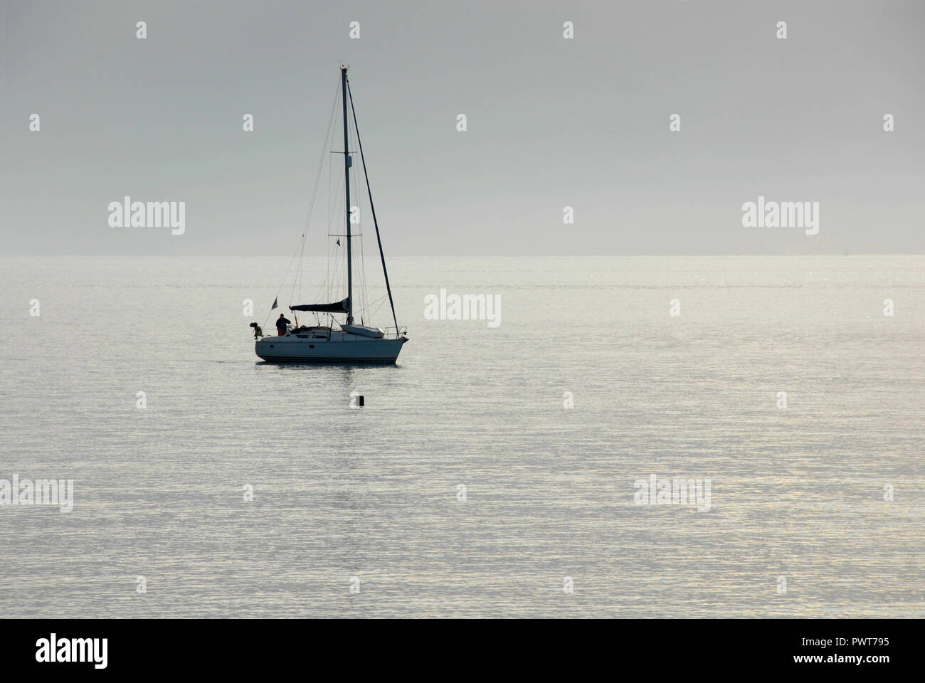 Lone sailor auf der Yacht auf See, am frühen Morgen, Southsea, Portsmouth, Hampshire, England Stockfoto