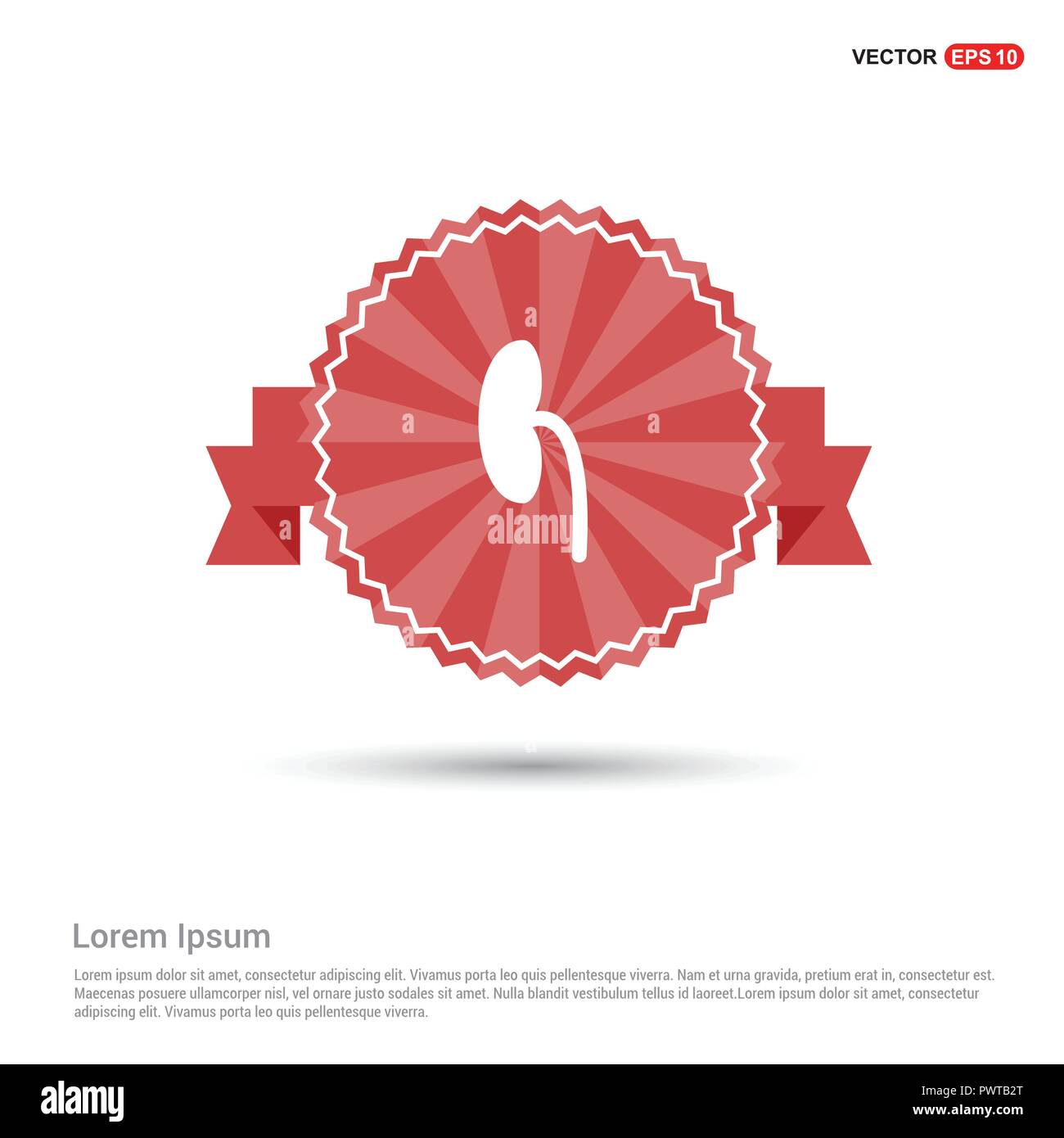 Niere icon-Red Ribbon banner Stock Vektor