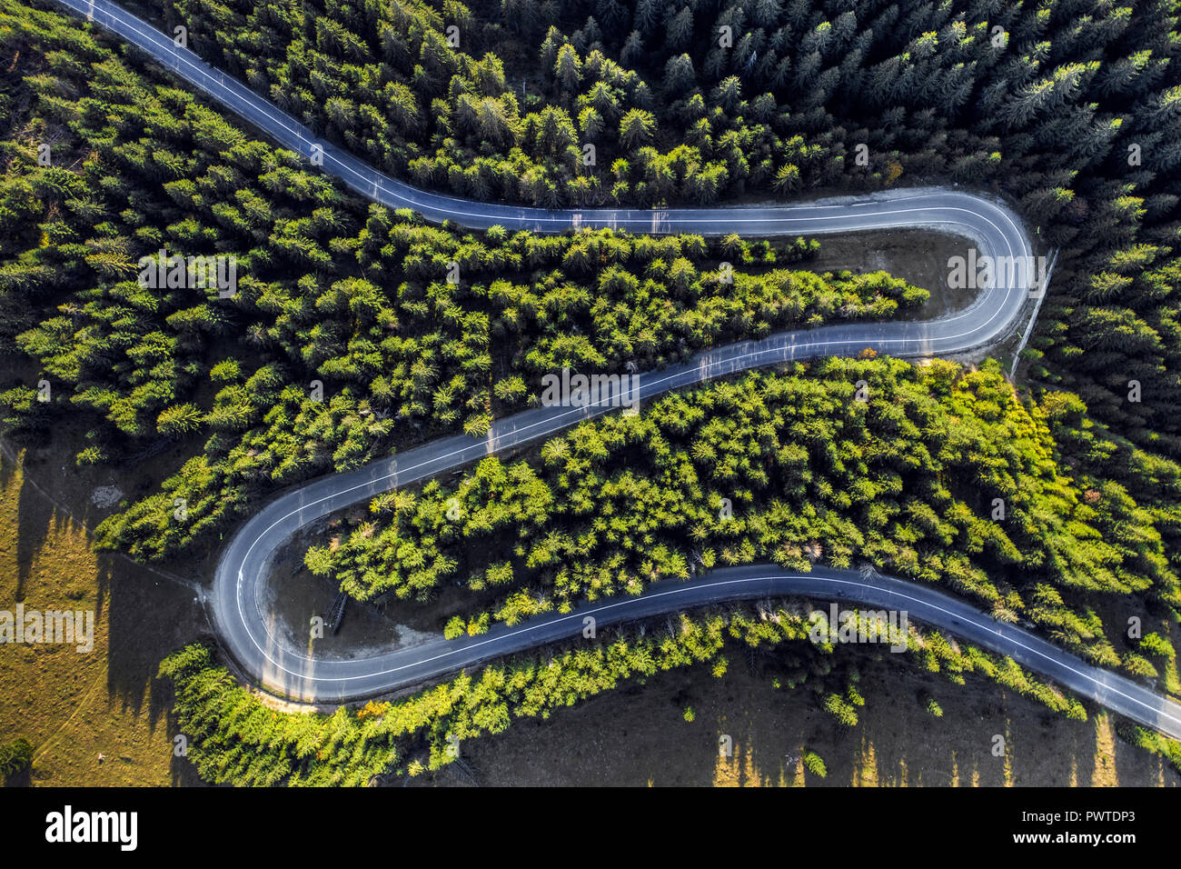 Antenne drone Ansicht der kurvenreichen Straße durch grünen Wald Stockfoto